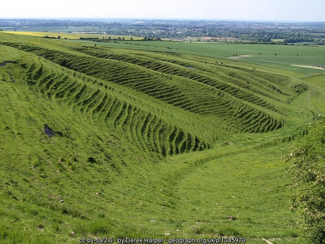 Chalk downland on Morgan’s Hill