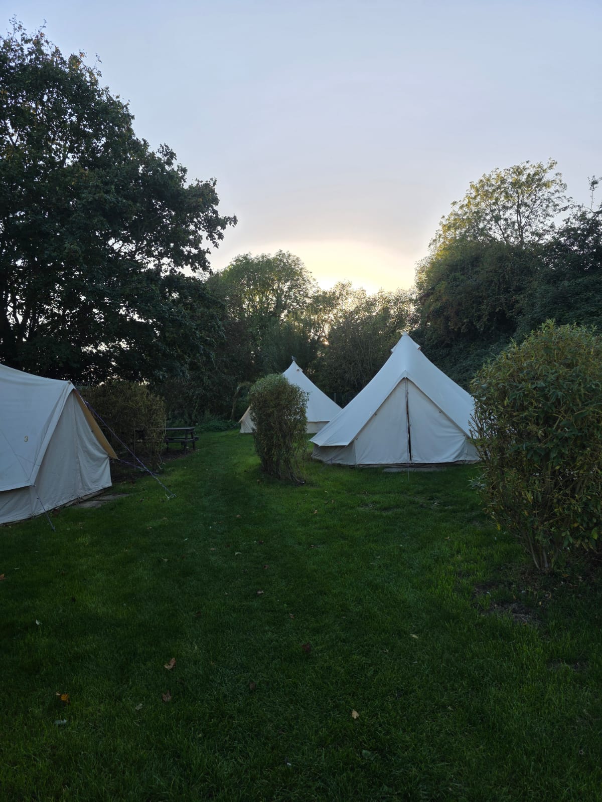 Bell tents and canvas ridge tents in the willow-fenced field