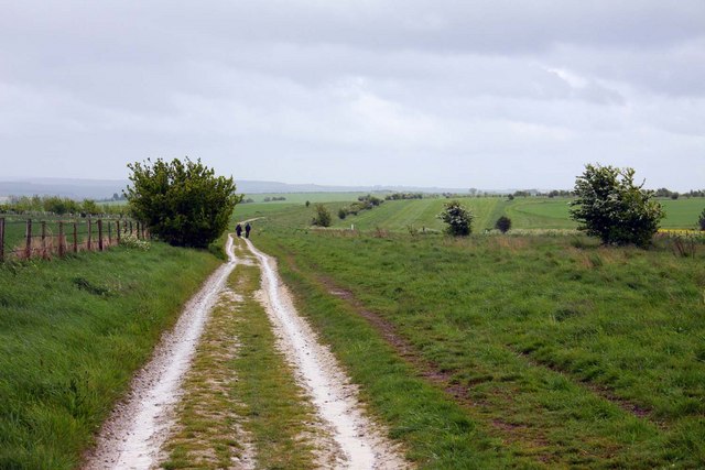The Ridgeway crossing the open downs